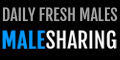 Male Sharing - Daily Fresh Males